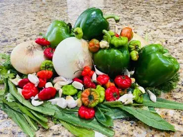 Traditional Puerto Rican Sofrito made with Domestic Gourmet Organic Annatto Oil - Aceite de Achiote