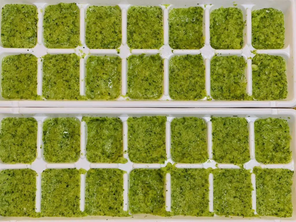 Traditional Puerto Rican sofrito in ice cube trays - Domestic Gourmet Traditional Puerto Rican sofrito in ice cube trays, substitute the olive oil with Domestic Gourmet Organic Annatto Oil - Aceite de Achiote for richer color and flavor