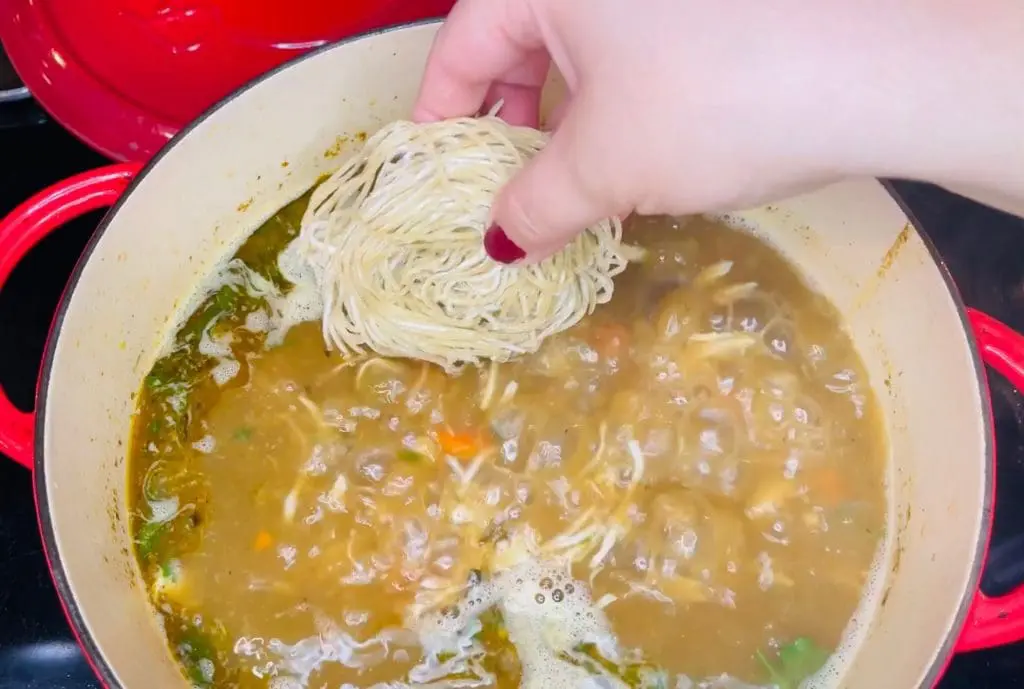 Latin American Chicken Noodle Soup - Sopa de Pollo con Fideos made with Domestic Gourmet Organic Annatto Oil - Aceite de Achiote