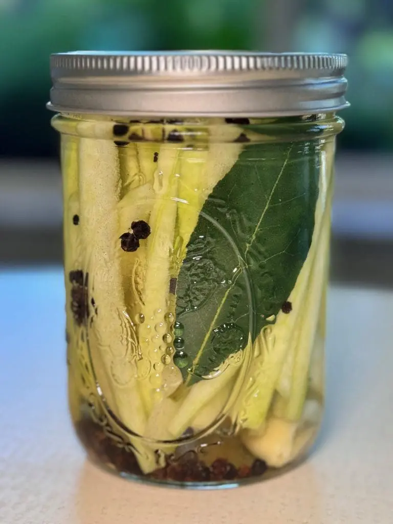 a jar with fermenting watermelon rind peperoncini, drizzle with domestic gourmet organic annatto oil - aceite de achiote for additional color and depth of flavor