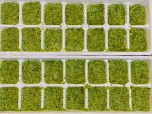 Traditional Puerto Rican sofrito in ice cube trays, substitute the olive oil with Domestic Gourmet Organic Annatto Oil - Aceite de Achiote for richer color and flavor